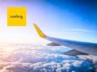 Vueling