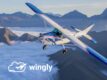 Wingly